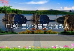 广场舞宝贝你最美背面双人