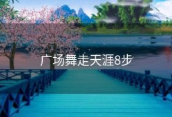 广场舞走天涯8步