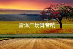雷泽广场舞音响