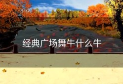 经典广场舞牛什么牛