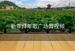 新年拜年歌广场舞视频