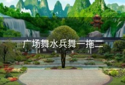 广场舞水兵舞一拖二