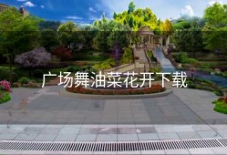 广场舞油菜花开下载