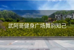 武阿哥健身广场舞别知己