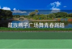 藏族燕子广场舞青春踢踏