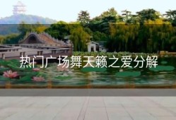 热门广场舞天籁之爱分解