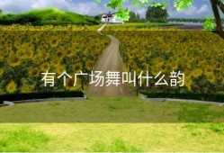 有个广场舞叫什么韵
