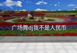 广场舞dj我不是人民币