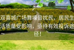 双喜城广场舞噪音扰民，居民生活质量受影响，亟待有效投诉途径！