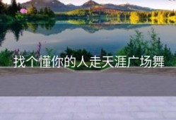 找个懂你的人走天涯广场舞