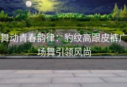 舞动青春韵律：豹纹高跟皮裤广场舞引领风尚