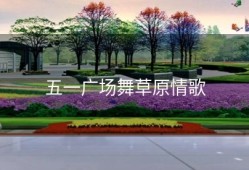 五一广场舞草原情歌