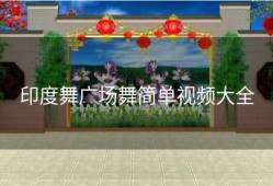 印度舞广场舞简单视频大全