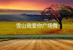 雪山我爱你广场舞