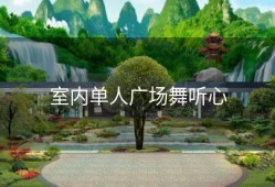 室内单人广场舞听心