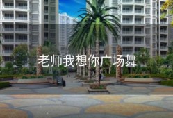 老师我想你广场舞
