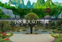 小水果大众广场舞