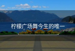 柠檬广场舞今生的唯一