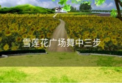 雪莲花广场舞中三步