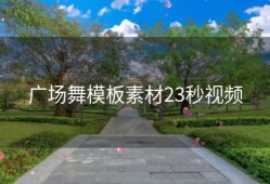 广场舞模板素材23秒视频