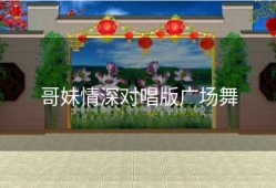 哥妹情深对唱版广场舞