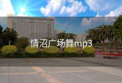 情沼广场舞mp3
