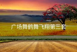 广场舞鹤舞飞翔第三套