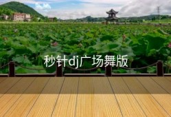 秒针dj广场舞版