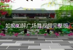 如痴如醉广场舞视频完整版