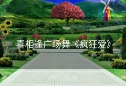 喜相逢广场舞《疯狂爱》
