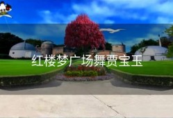 红楼梦广场舞贾宝玉