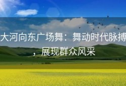大河向东广场舞：舞动时代脉搏，展现群众风采