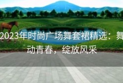 2023年时尚广场舞套裙精选：舞动青春，绽放风采