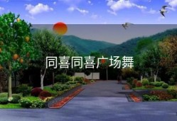 同喜同喜广场舞