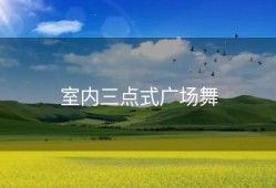 室内三点式广场舞