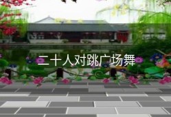 二十人对跳广场舞