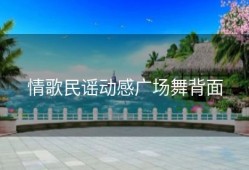 情歌民谣动感广场舞背面