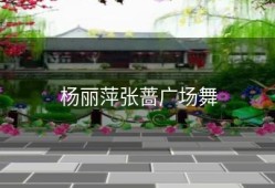 杨丽萍张蔷广场舞