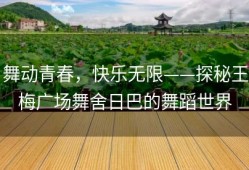 舞动青春，快乐无限——探秘王梅广场舞舍日巴的舞蹈世界