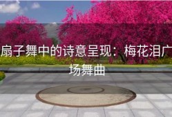扇子舞中的诗意呈现：梅花泪广场舞曲