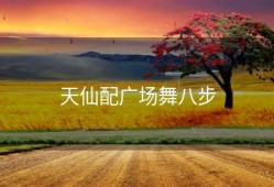 天仙配广场舞八步