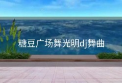 糖豆广场舞光明dj舞曲