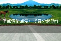借点情借点爱广场舞分解动作