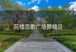 花楼恋歌广场舞糖豆