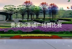 贵溪河潭镇广场舞比赛