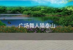广场舞人猿泰山