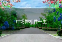 广场舞相件一生