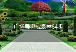 广场舞挪威森林64步