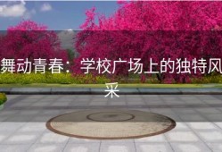 舞动青春：学校广场上的独特风采
