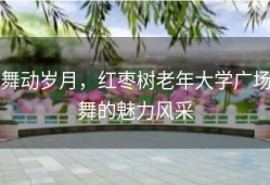 舞动岁月，红枣树老年大学广场舞的魅力风采